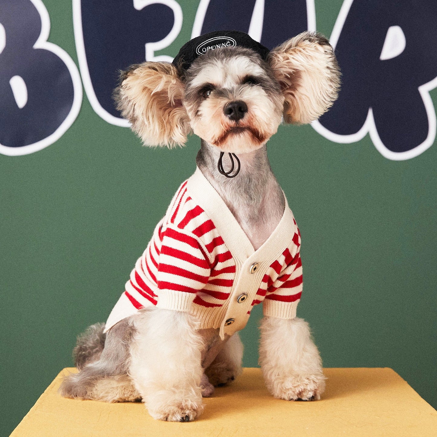 Pet Striped Cardigan