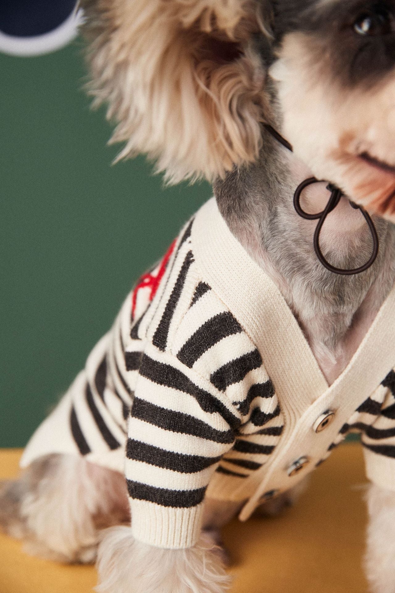 Pet Striped Cardigan