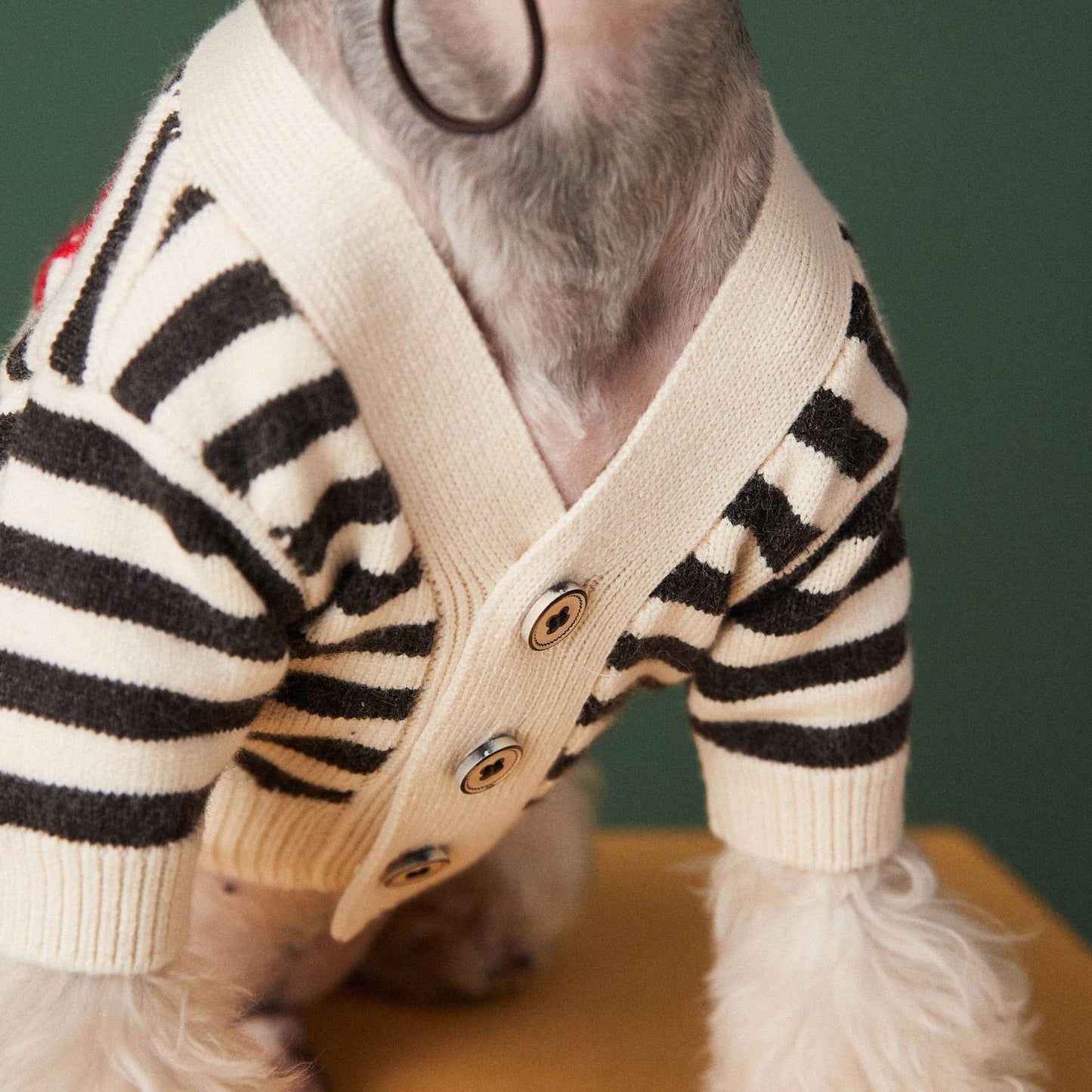 Pet Striped Cardigan