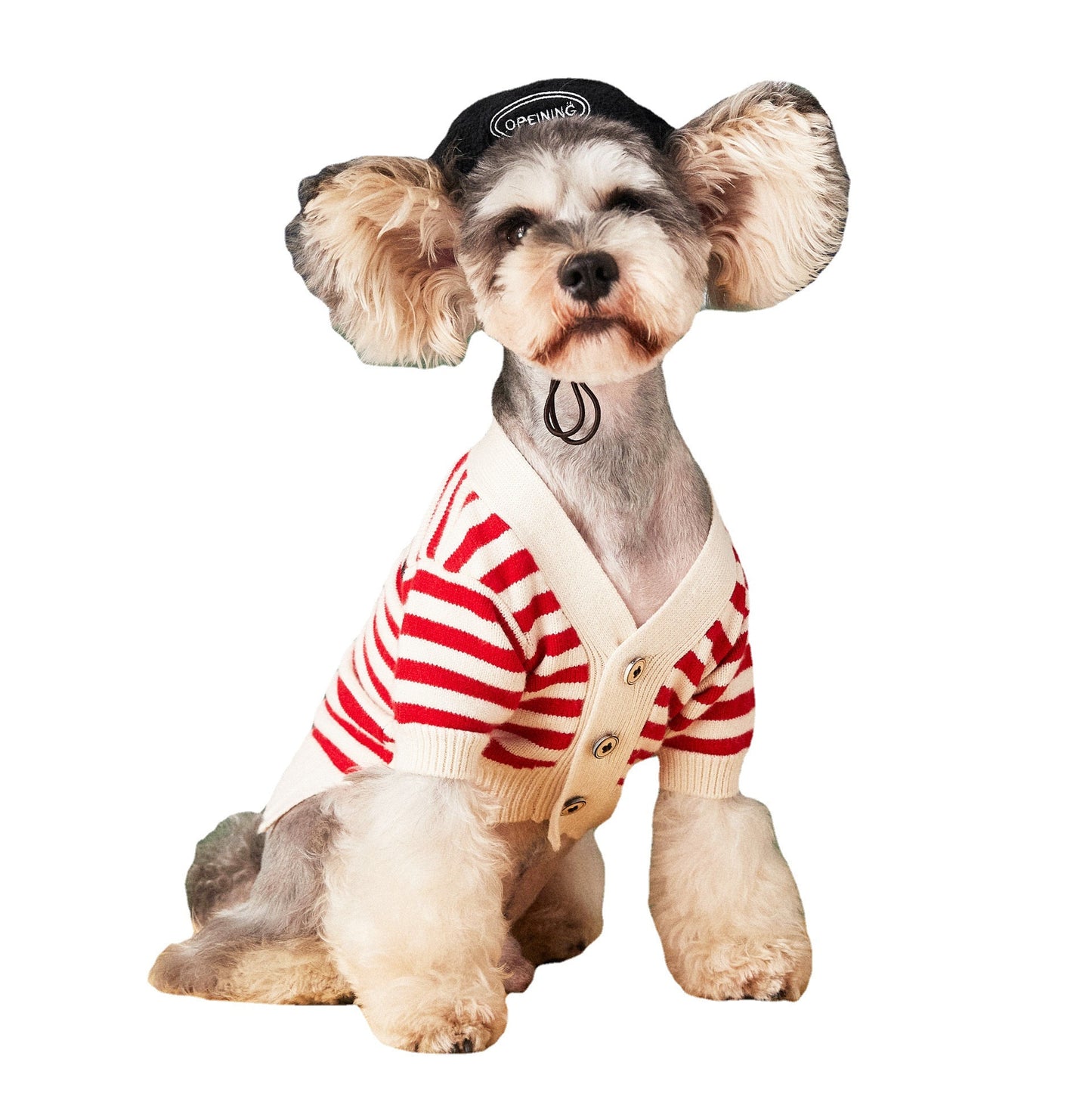 Pet Striped Cardigan