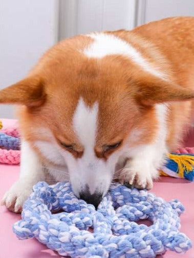 Lake Life Rope Toy