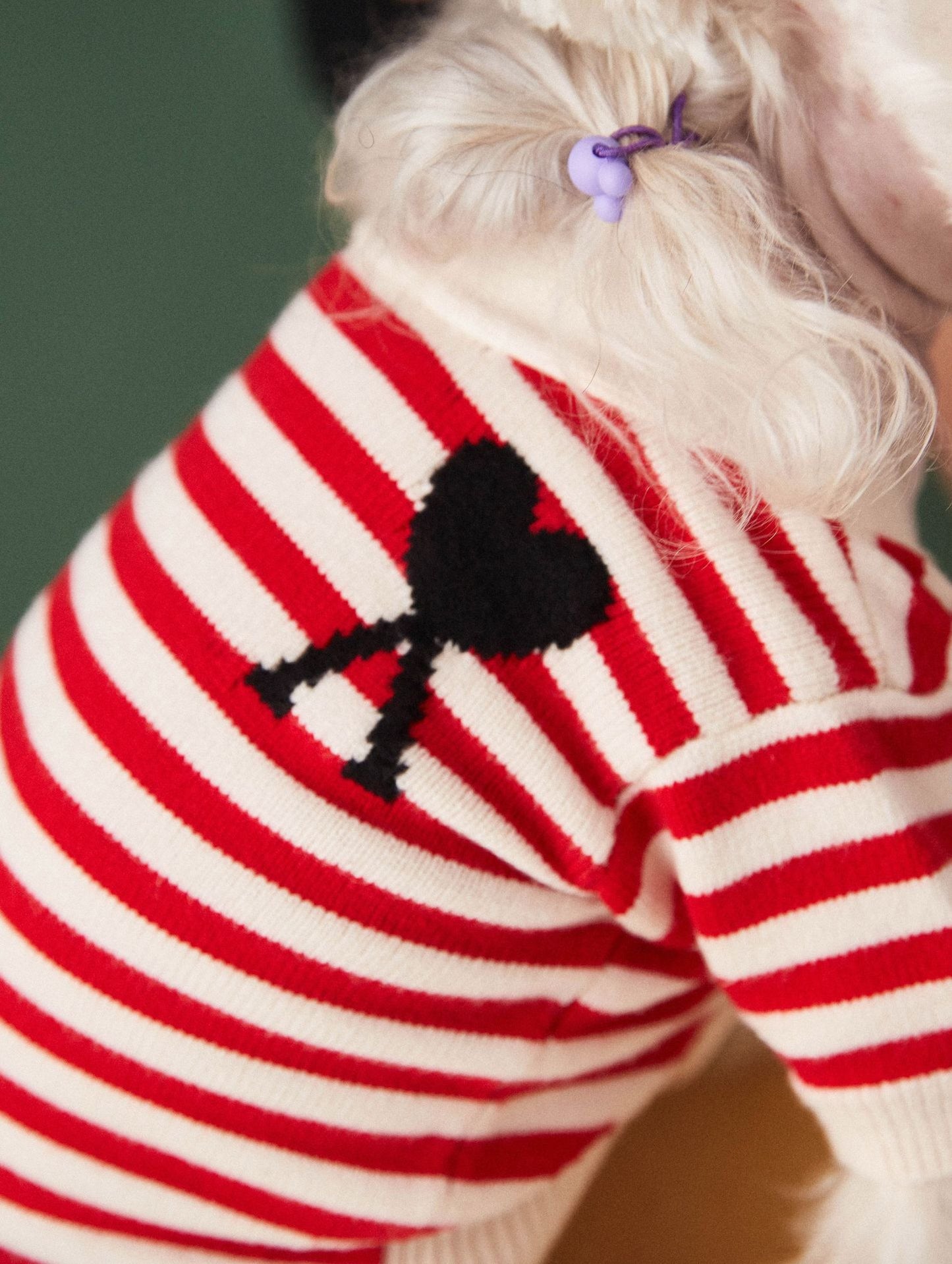 Pet Striped Cardigan