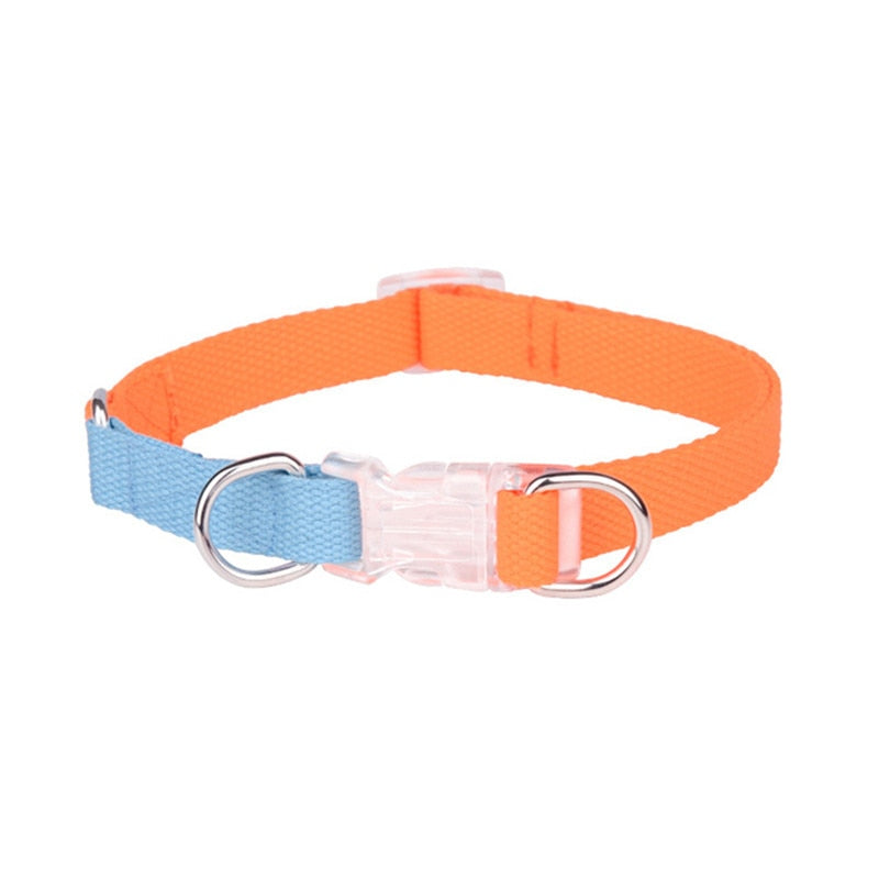 Two Tone Dog Set