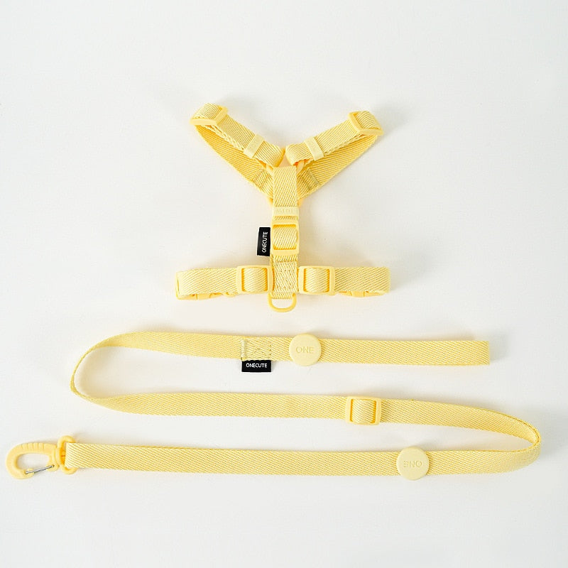 Pastel Leash and Harness Set
