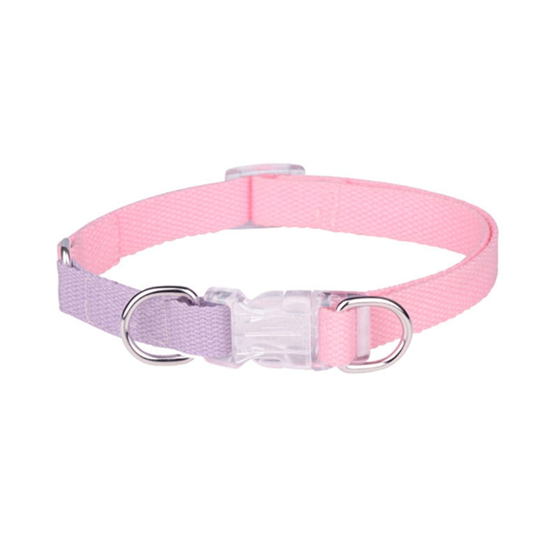 Two Tone Dog Set