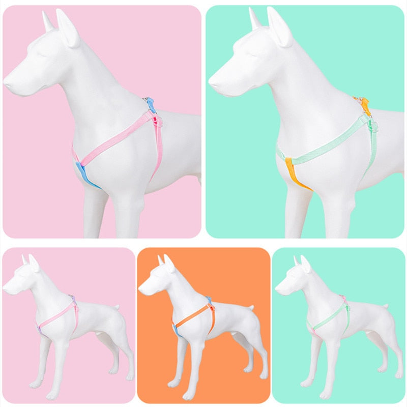 Two Tone Dog Set