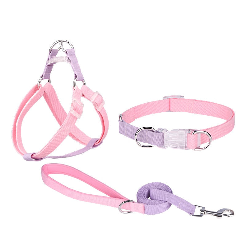 Two Tone Dog Set