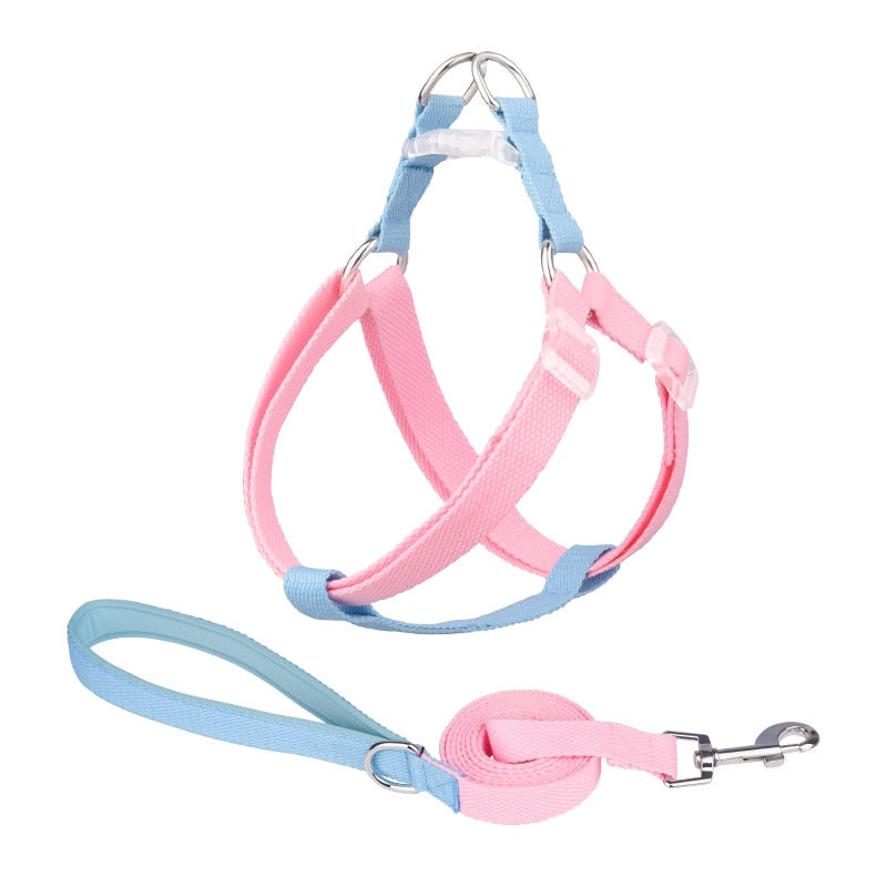 Two Tone Dog Set