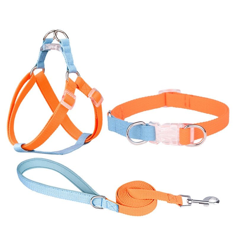 Two Tone Dog Set