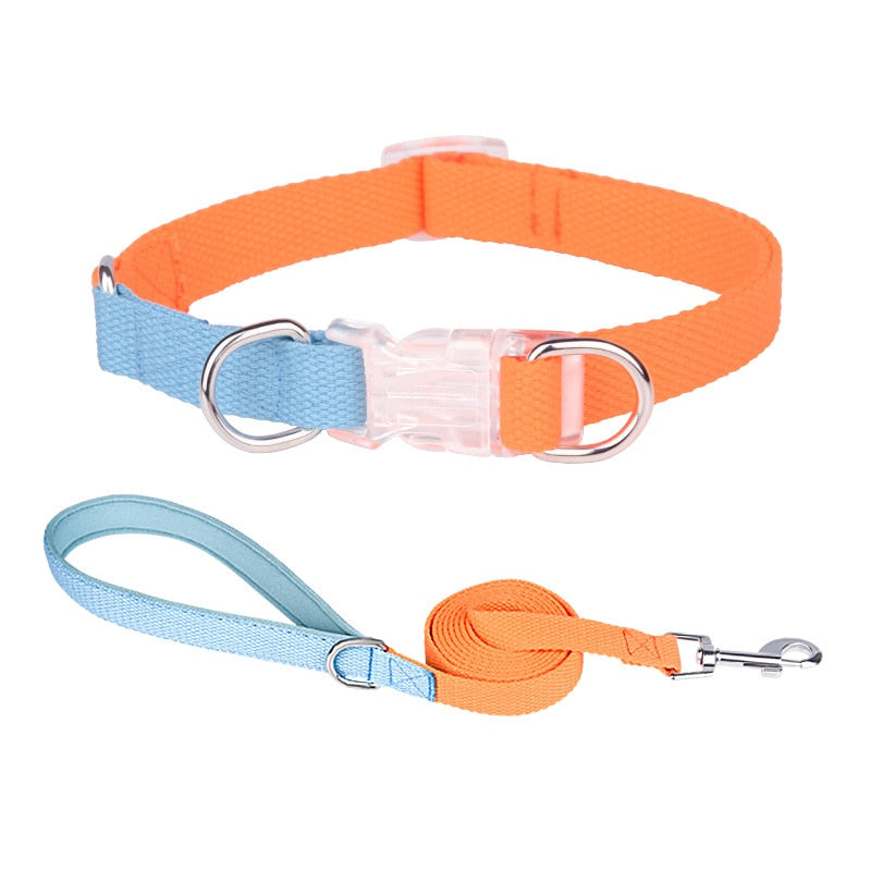 Two Tone Dog Set