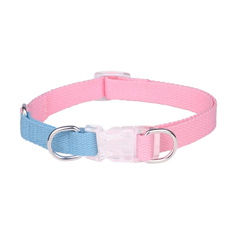 Two Tone Dog Set