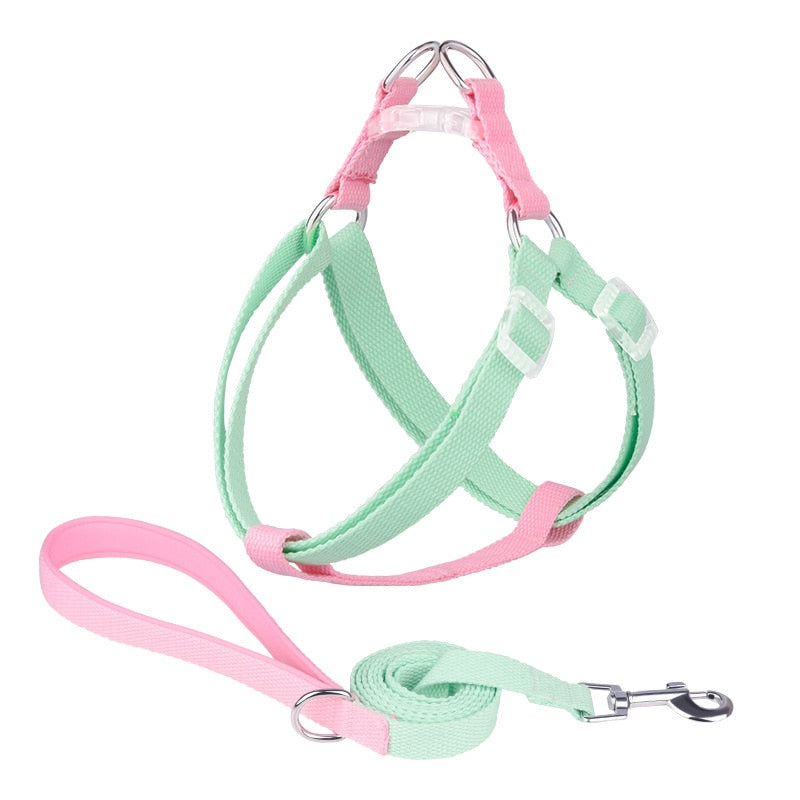 Two Tone Dog Set
