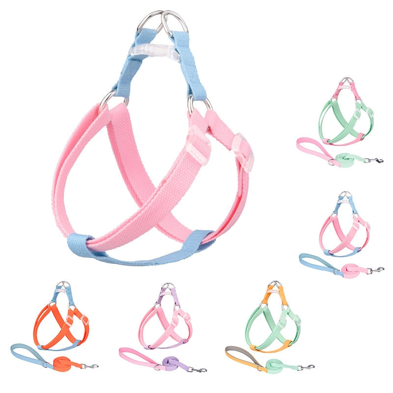 Two Tone Dog Set