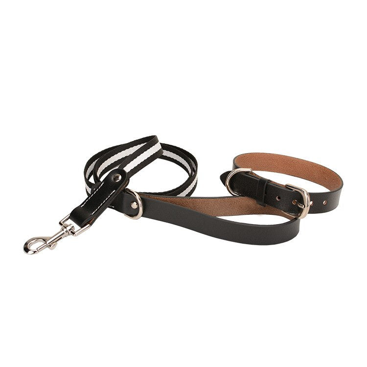 Luxury Leather Leash and Collar Set