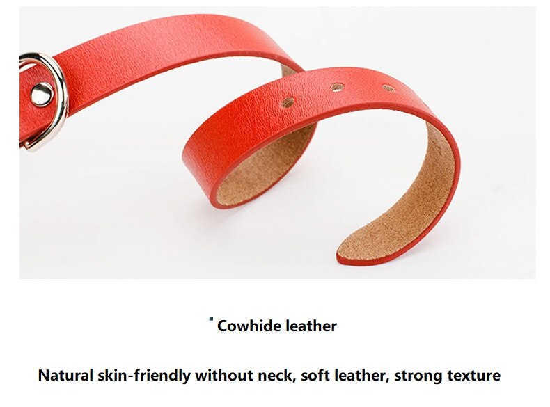 Luxury Leather Leash and Collar Set