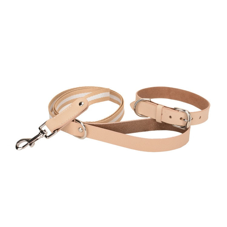 Luxury Leather Leash and Collar Set