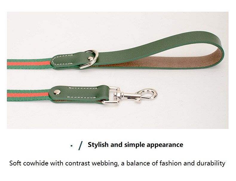 Luxury Leather Leash and Collar Set