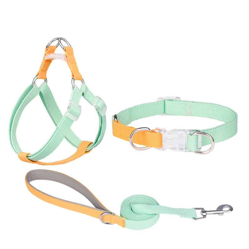 Two Tone Dog Set