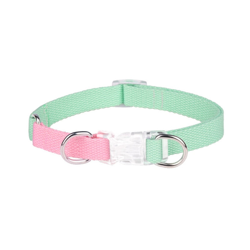 Two Tone Dog Set