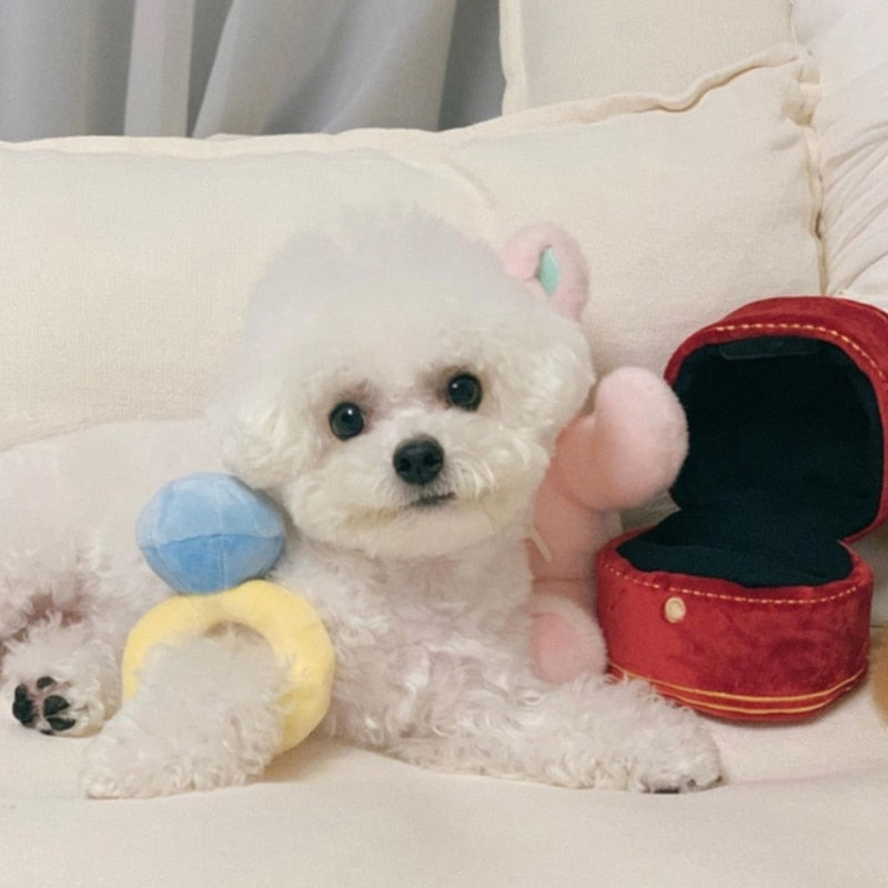 Squeaky Engagement Ring Toy