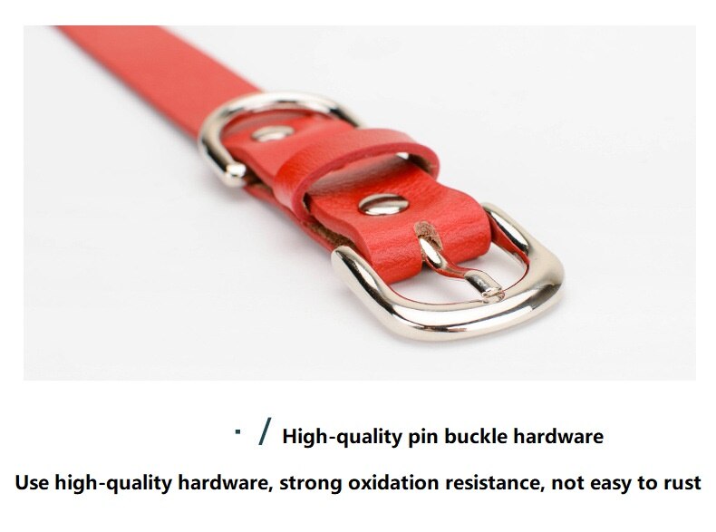 Luxury Leather Leash and Collar Set