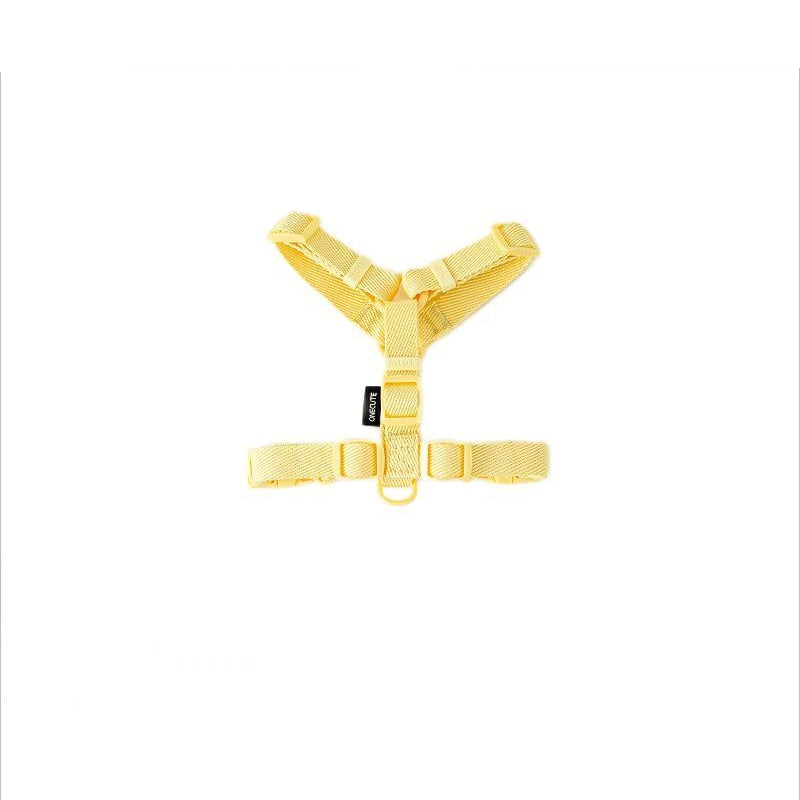 Pastel Leash and Harness Set