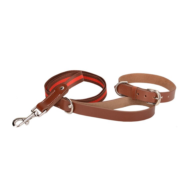 Luxury Leather Leash and Collar Set