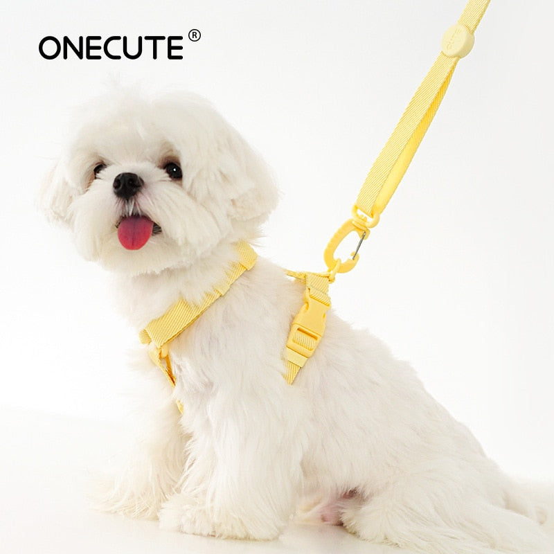 Pastel Leash and Harness Set