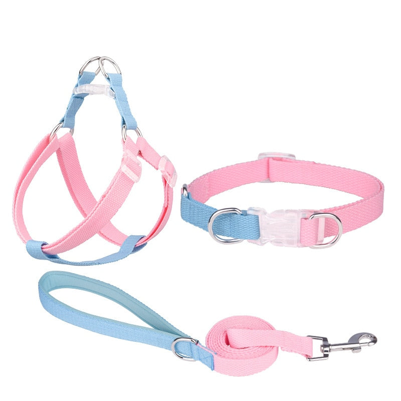 Two Tone Dog Set