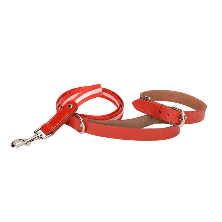 Luxury Leather Leash and Collar Set