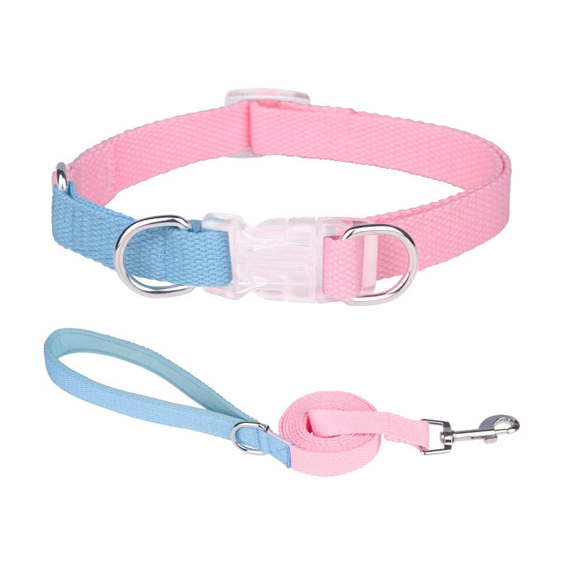 Two Tone Dog Set
