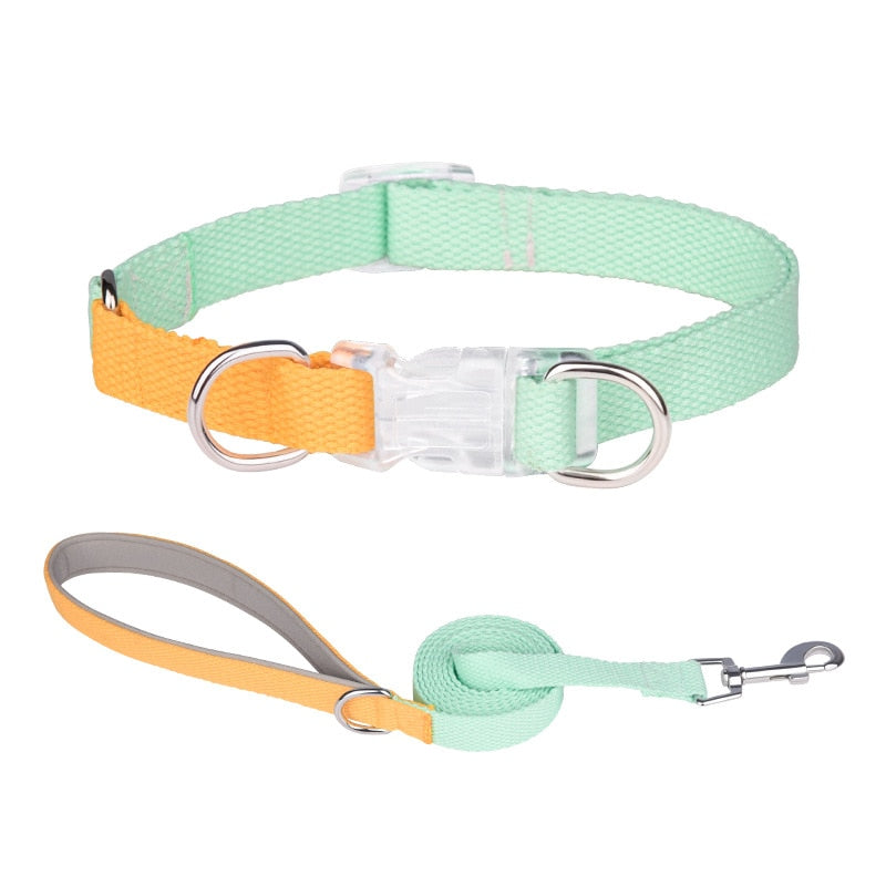 Two Tone Dog Set