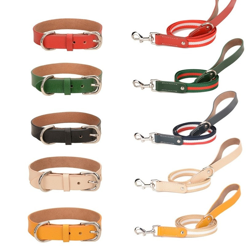 Luxury Leather Leash and Collar Set