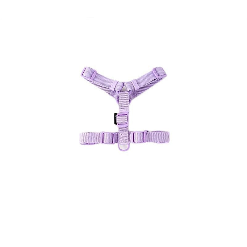 Pastel Leash and Harness Set