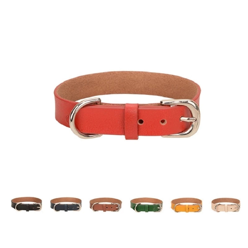 Luxury Leather Leash and Collar Set