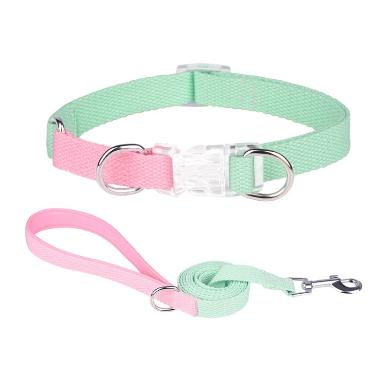 Two Tone Dog Set