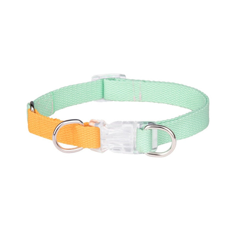 Two Tone Dog Set