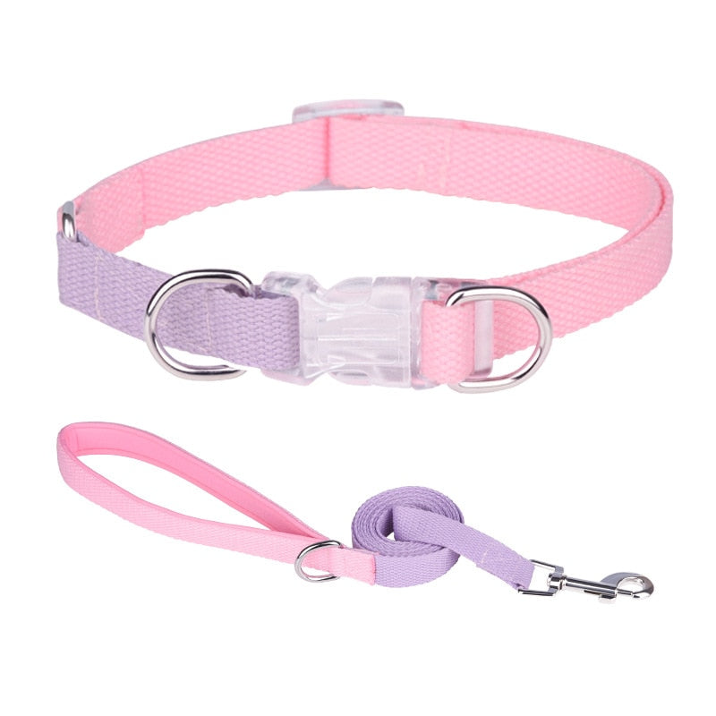 Two Tone Dog Set