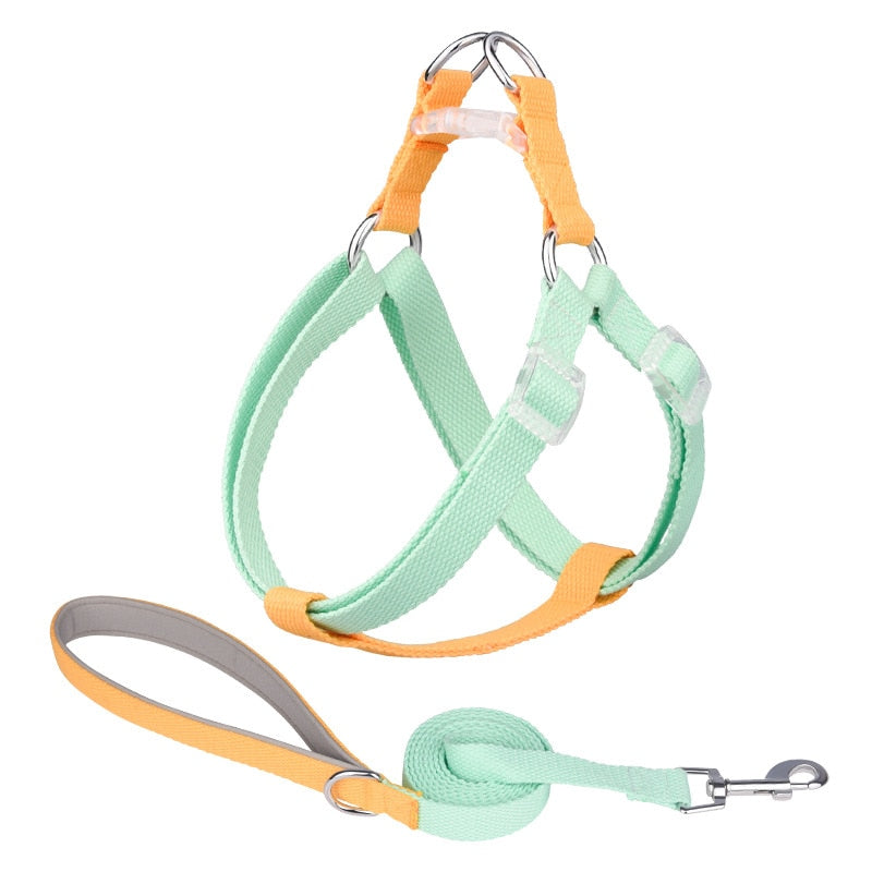 Two Tone Dog Set