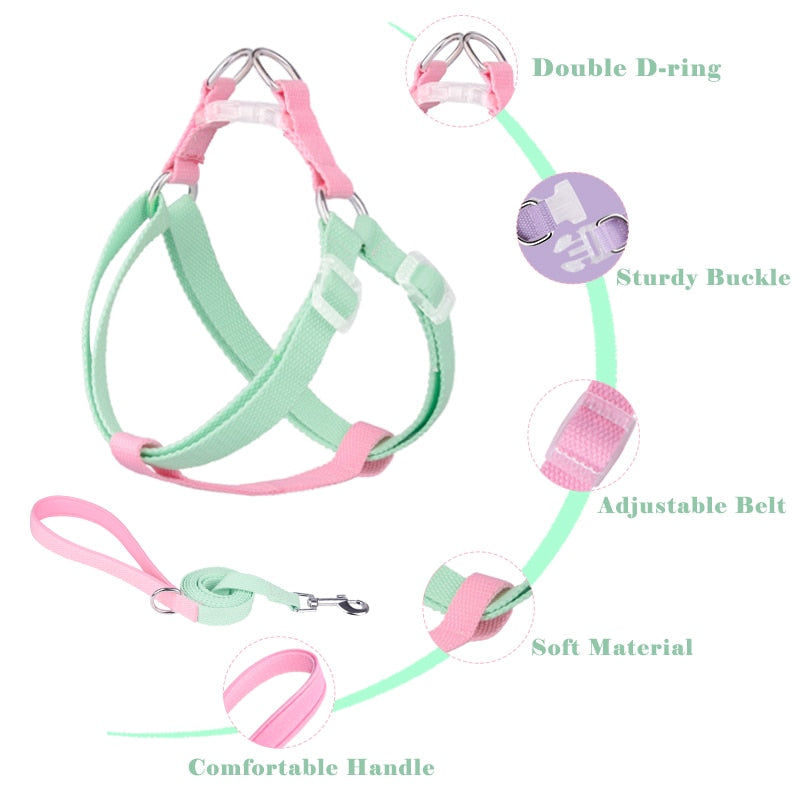 Two Tone Dog Set