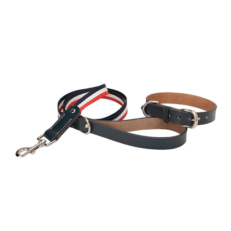 Luxury Leather Leash and Collar Set