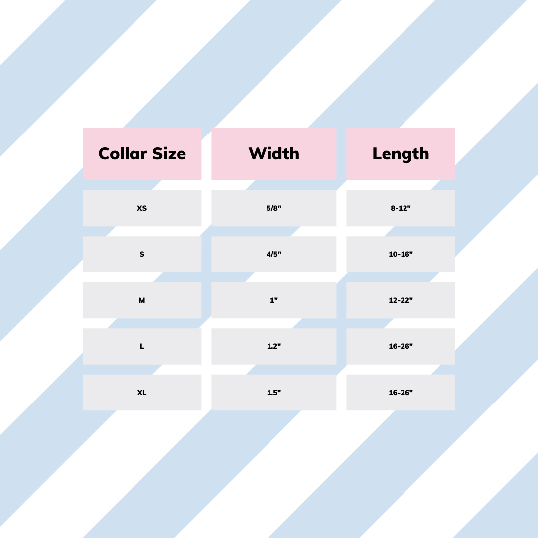 Stripe Leash and Collar Set