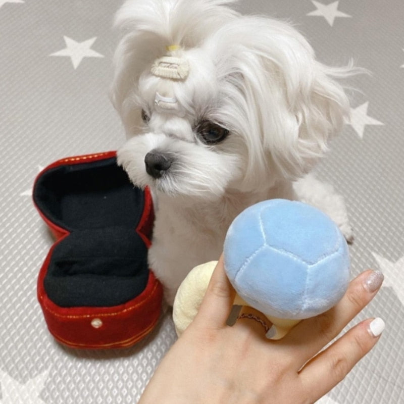 Squeaky Engagement Ring Toy