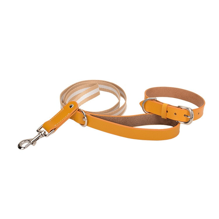 Luxury Leather Leash and Collar Set